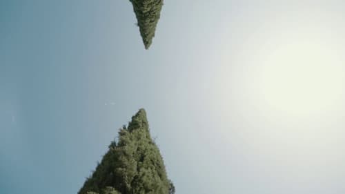 A Plot, A Scandal Bild 5