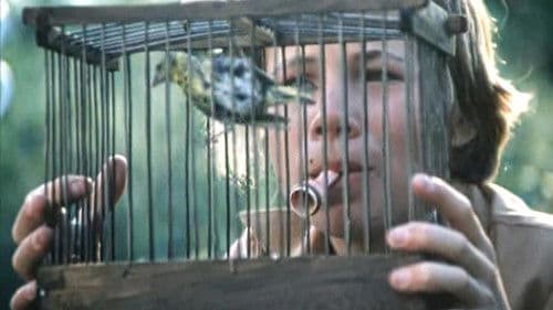 Мементо мори Bild 1