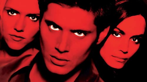 Devour - Der schwarze Pfad Bild 4