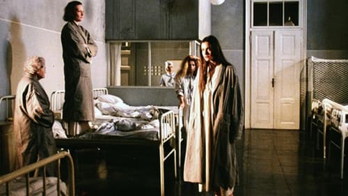 Tag der Idioten Bild 2