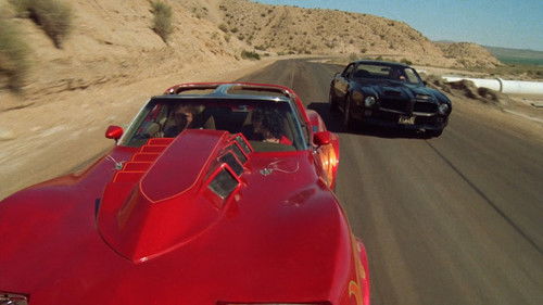 Zwei heiße Typen auf dem Highway Bild 8