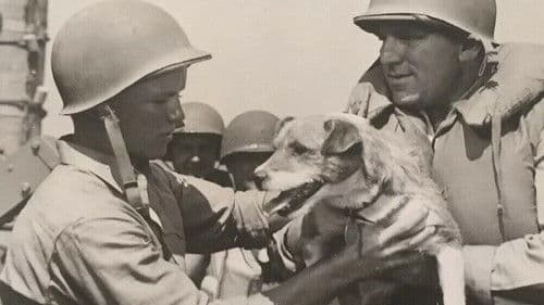 Guadalkanal - Die Hölle im Pazifik Bild 7