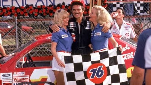 Der rasende Gockel Bild 1