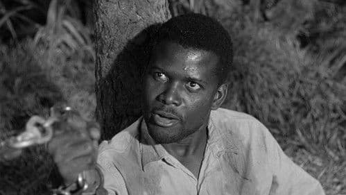 Flucht in Ketten Bild 3