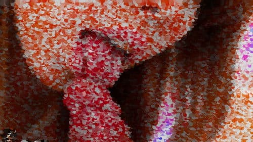 Service Animals 22 Bild 1