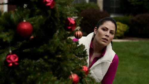 The Christmas Thief - Herz & Verbrechen: Ein festlicher Fall Bild 2