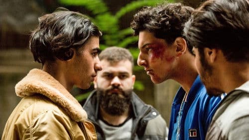 Ein nasser Hund Bild 4