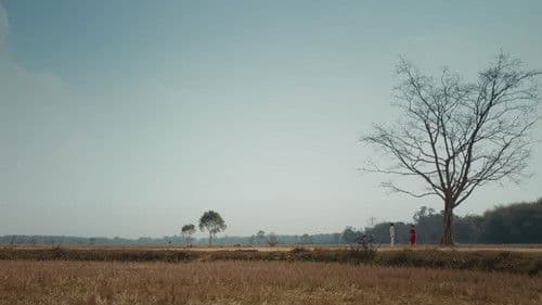 ভাইমন দা Bild 2