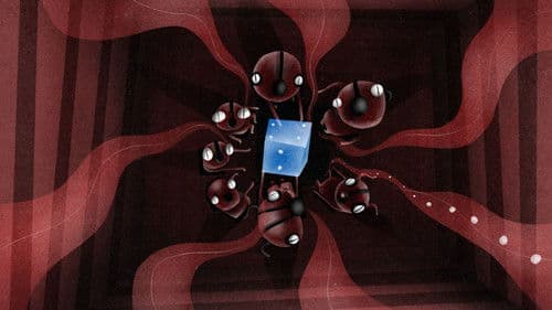 Daug geresnis Bild 1