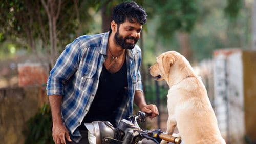 777 ಚಾರ್ಲಿ Bild 4