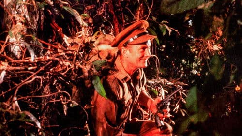 Zu spät für Helden Bild 5