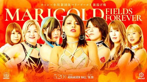 Marigold Fields Forever Bild 2