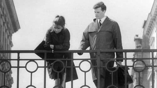 Nikdo se nebude smát Bild 3