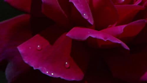 Historia sexual de O Bild 6