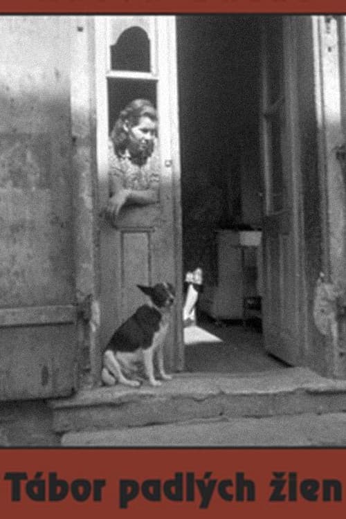 Das Lager der gefallenen Frauen