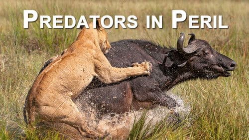 Predators in Peril Bild 1