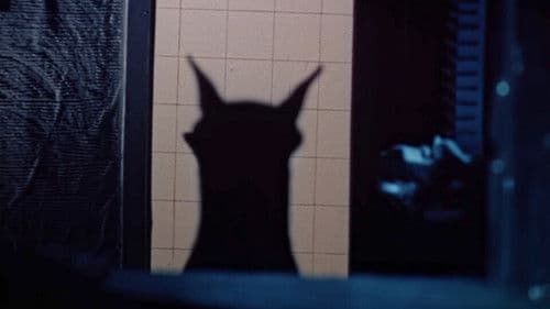 Гонгофер Bild 2