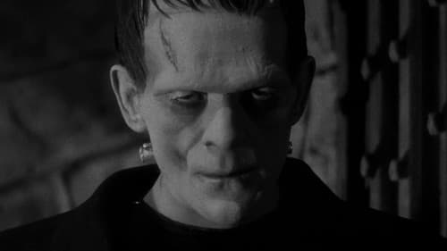 Frankenstein Bild 8