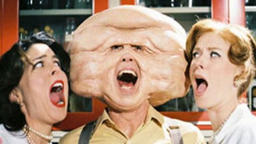 Trail of the Screaming Forehead Bild 2