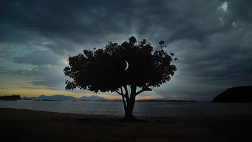 O Prazer de Matar Insetos Bild 2