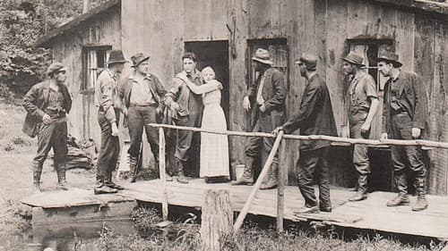 Dynamite Allen Bild 1