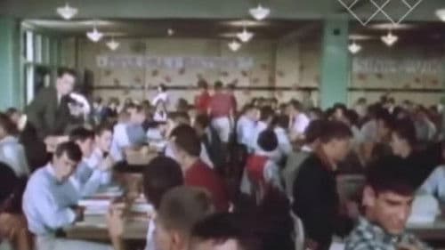 16 in Webster Groves Bild 1