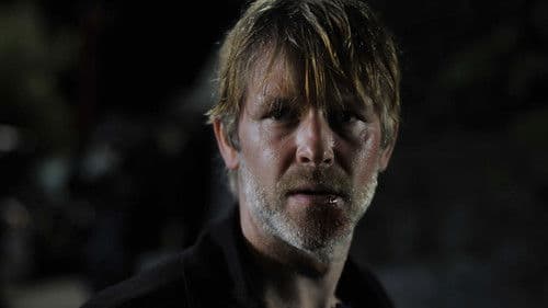 Der Wolf - Schwarze Schafe Bild 2