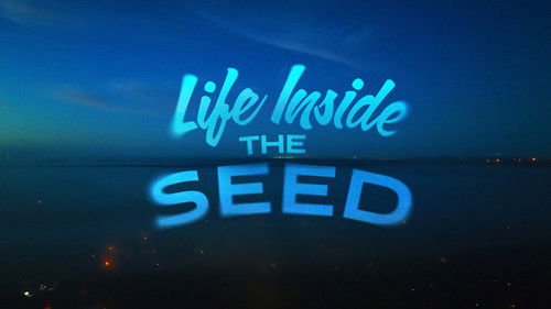 Life Inside the Seed Bild 1
