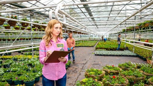 Tulips in Spring Bild 6