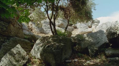 Quei loro incontri Bild 6