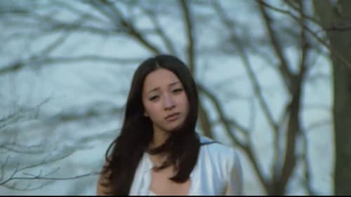 夜の歌謡シリーズ　女のみち Bild 8