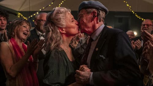 Kleiner Schmetterling Bild 3