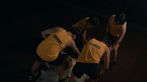 Stable Conditions Bild 4