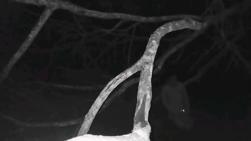 O Olho de Nietzsche Bild 1