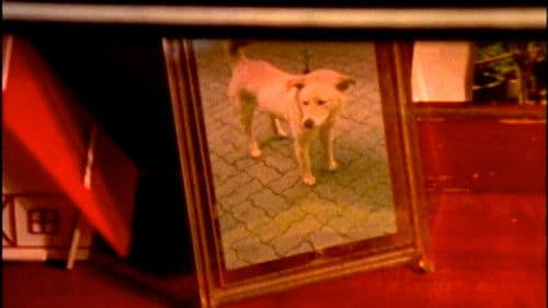 프레임 속의 기억들 Bild 1