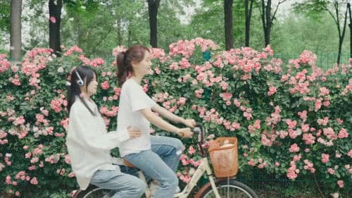 You Who Are Lost With the Wind Bild 1