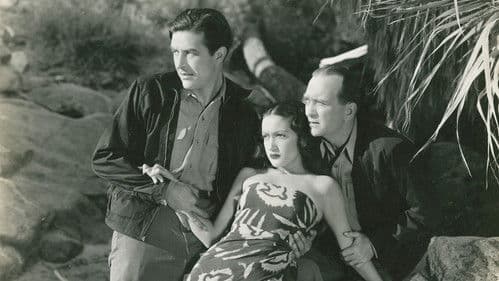 Her Jungle Love Bild 1