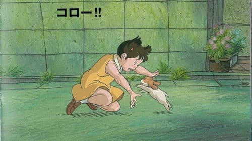 コロの大さんぽ Bild 1