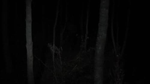 Malgré la nuit Bild 4