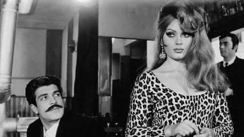 Vesikalı Yarim Bild 1