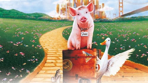 Schweinchen Babe in der großen Stadt Bild 3