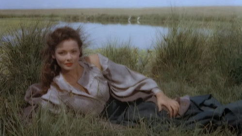 König der Gauchos Bild 4