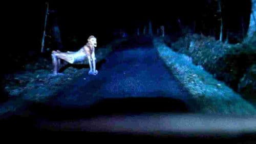 X-Tro - Nicht alle Außerirdischen sind freundlich Bild 3