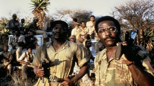 Spiel der Geier Bild 3