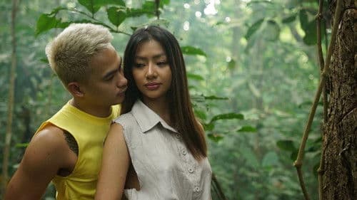 Virgin Forest Bild 4