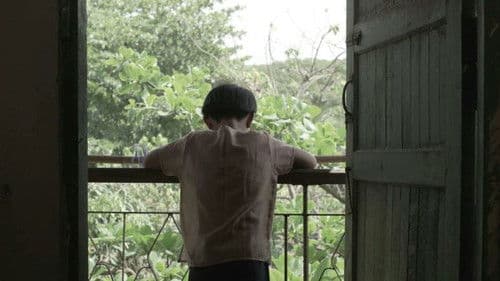 ပြာပြာညိုရောင် မှိုင်းတလဲ့လဲ့ Bild 1