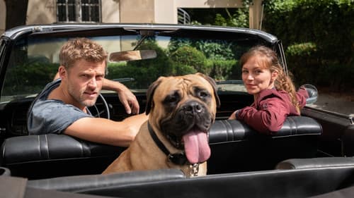 Der Bulle und das Biest Bild 2