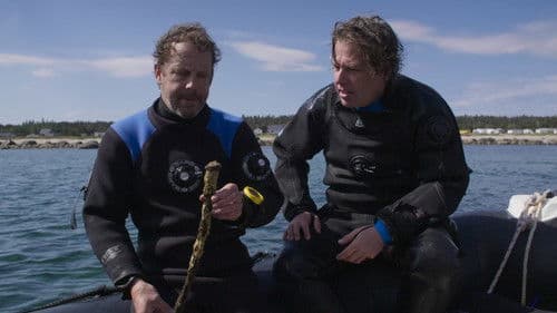 Le naufrage de L'Île aux Oeufs Bild 2