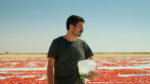 One of Those Days When Hemme Dies Bild 4