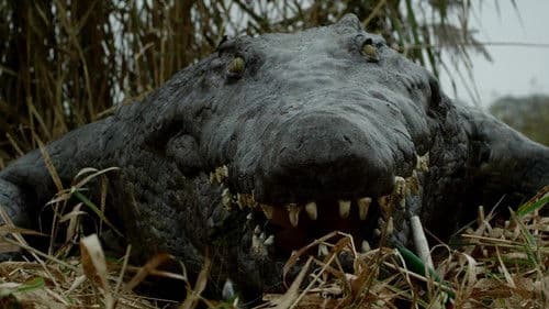 The Hatching - Die Natur beißt zurück Bild 2